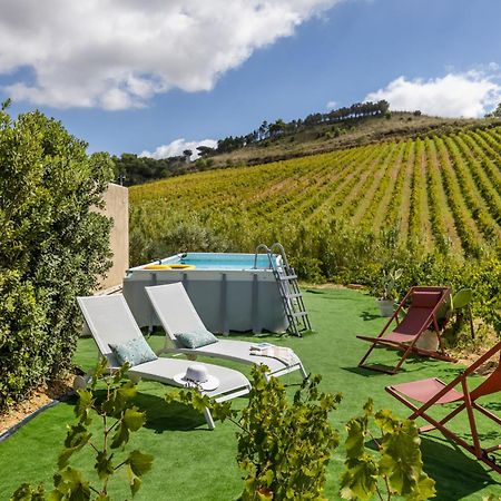 Villa Bonifato Vista Sulle Campagne E Sul Mare Siciliano Cozy House Italy 阿尔卡莫 外观 照片