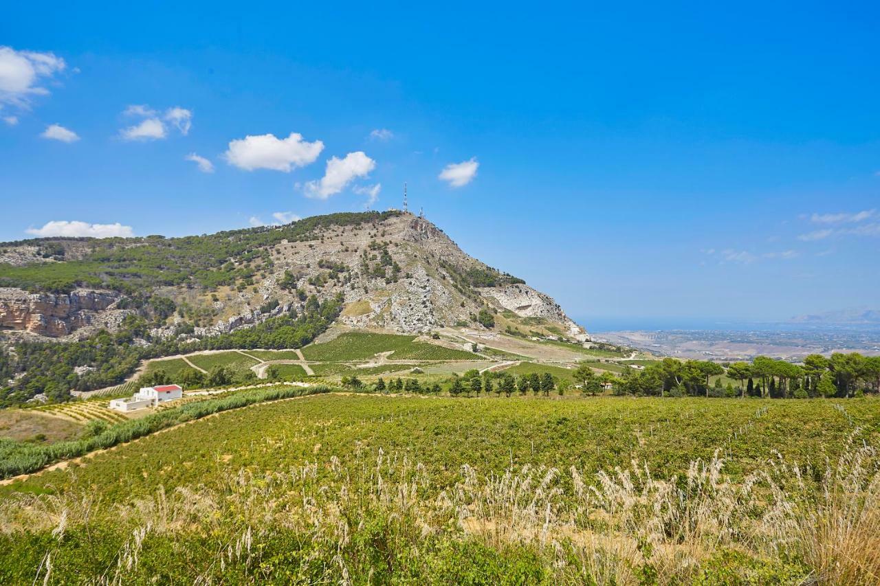 Villa Bonifato Vista Sulle Campagne E Sul Mare Siciliano Cozy House Italy 阿尔卡莫 外观 照片